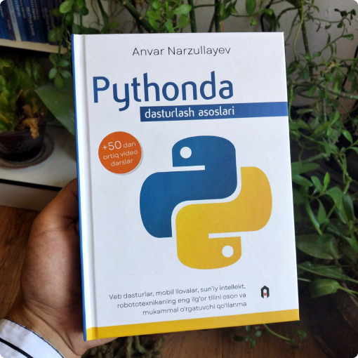 Python book